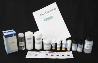 Enzymes Set
