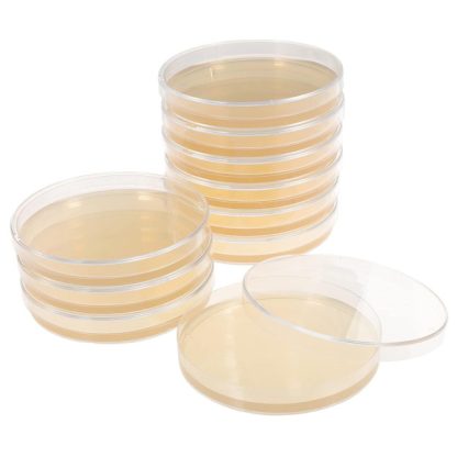 Prepared Nutrient Agar Plates - 10pcs (Republic of Ireland Only)