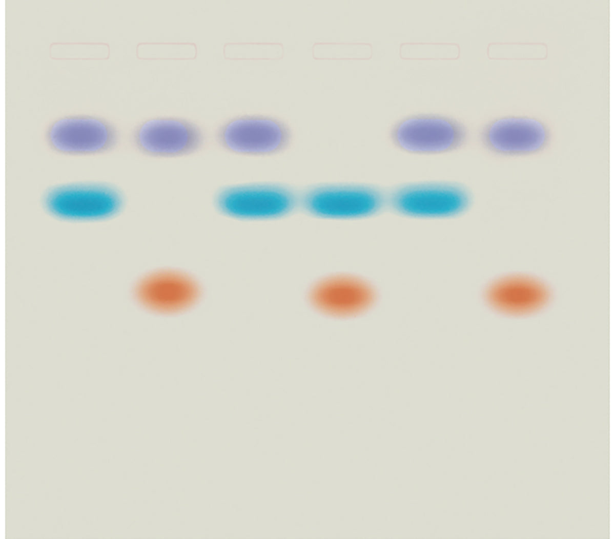 Edvotek Activity Kit - Whose DNA Was Left Behind?