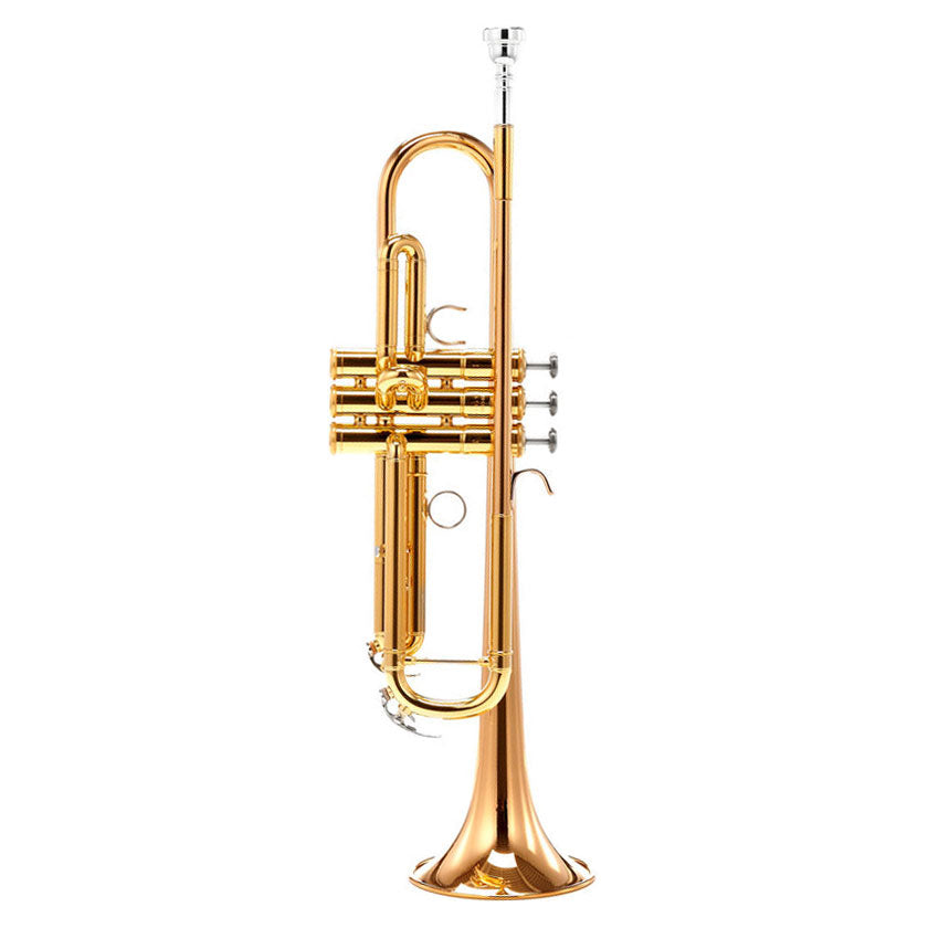 Yamaha YTR5335GII semi-professional Bb trumpet outfit