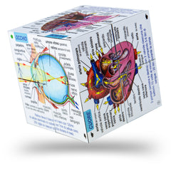 Human Body Cube Book - Italian (7 Years +)