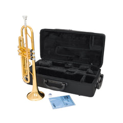 Yamaha YTR3335 step up Bb trumpet outfit