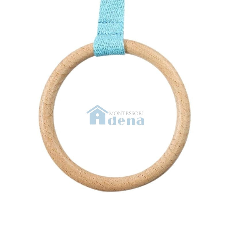 Disc on a Ribbon