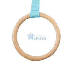 Disc on a Ribbon