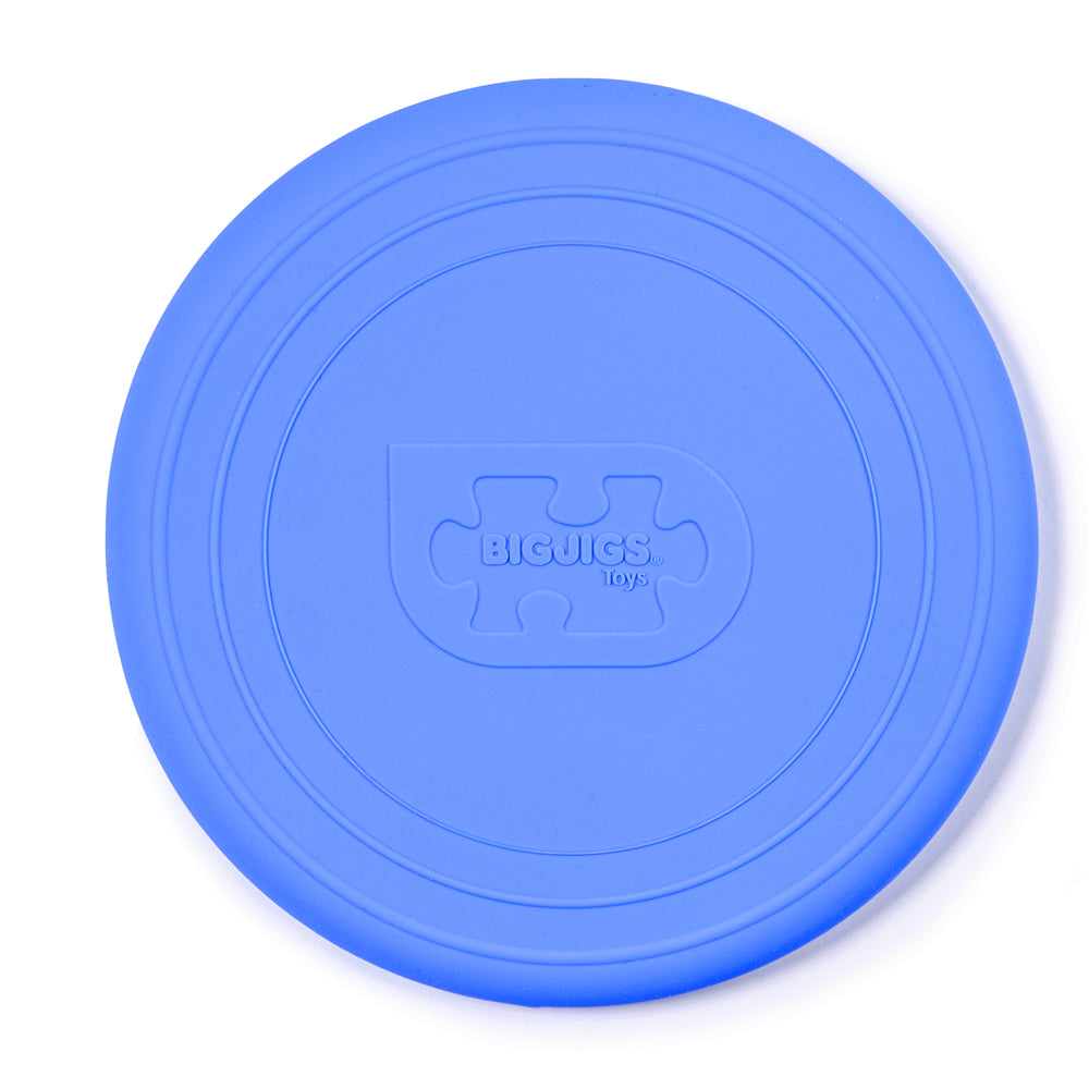 Ocean Blue Foldable Flyer (12 Months +)