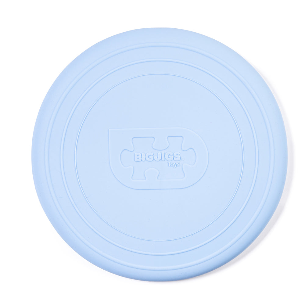 Powder Blue Foldable Flyer (12 Months +)