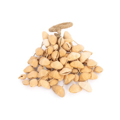 Percussion Plus Honestly Made Natural seed shaker