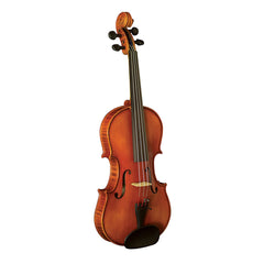 Hidersine Vivente Academy violin outfit - 4/4 size – 4/4 size