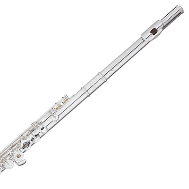 Trevor James Chanson step-up flute outfit