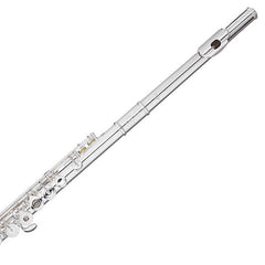 Trevor James Chanson step-up flute outfit