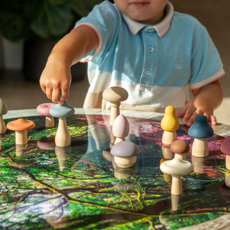 SILISOFT WOODLAND MUSHROOMS (EARTH), PK12