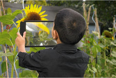 LARGE SHEET MAGNIFIER, EACH