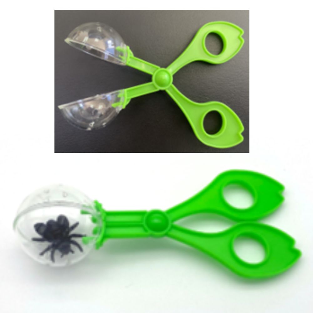 Mini Collectors , pack of 24