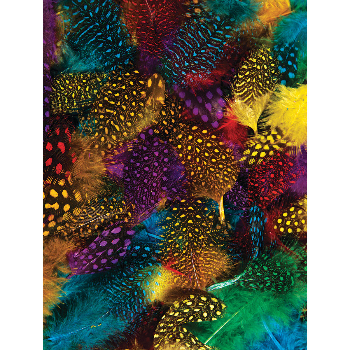 Feathers Spotty-Plume Asst.Col. 50G