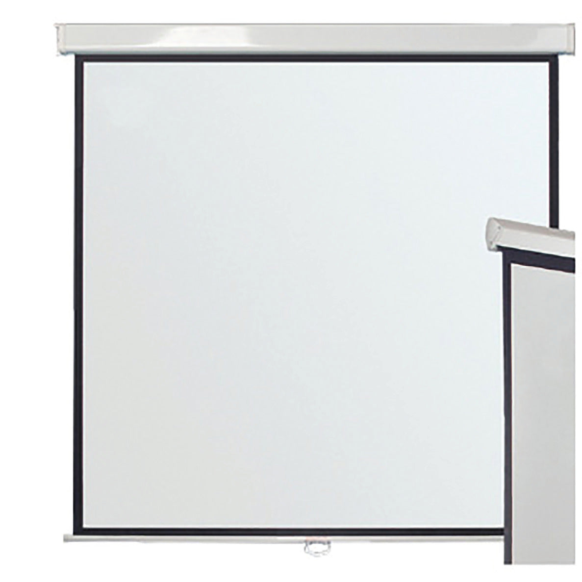 Leader Wall Screen 240 X 240 Cm