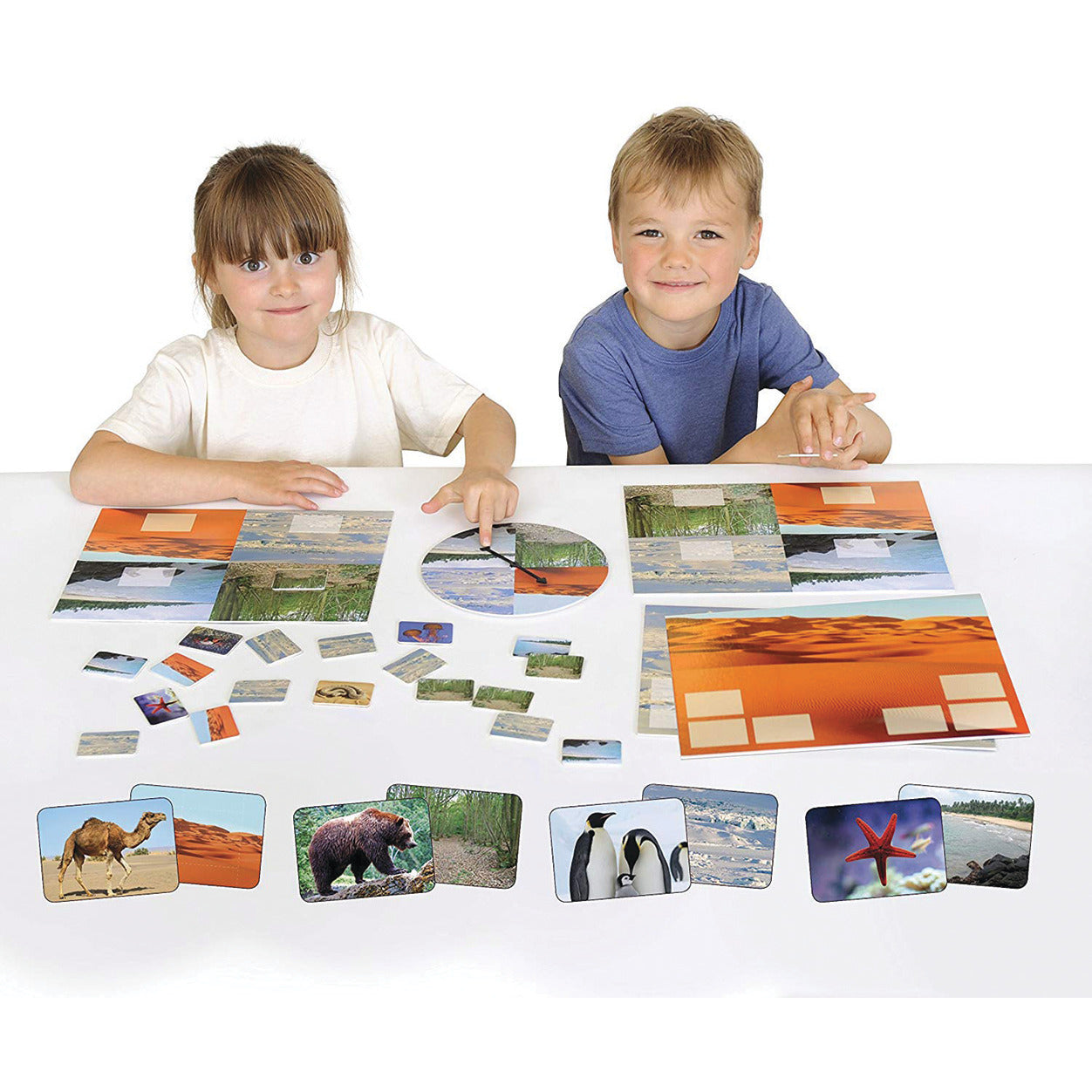 Animal Habitat Game