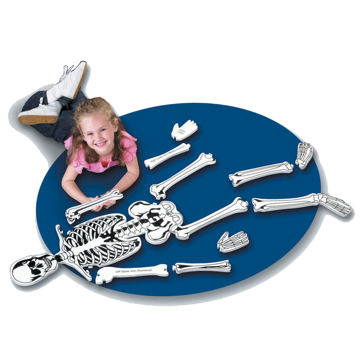 Floor Puzzle-Foam Skeleton