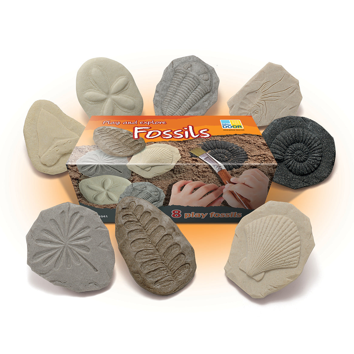Lets Investigate Fossils Set 8