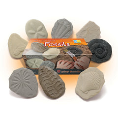 Lets Investigate Fossils Set 8