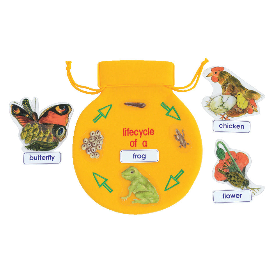 Lifecycle Bag