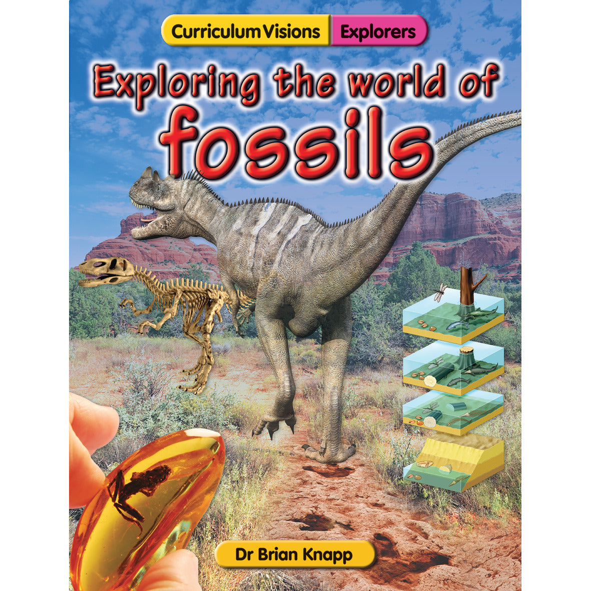 Rocks And Soils-Exploring