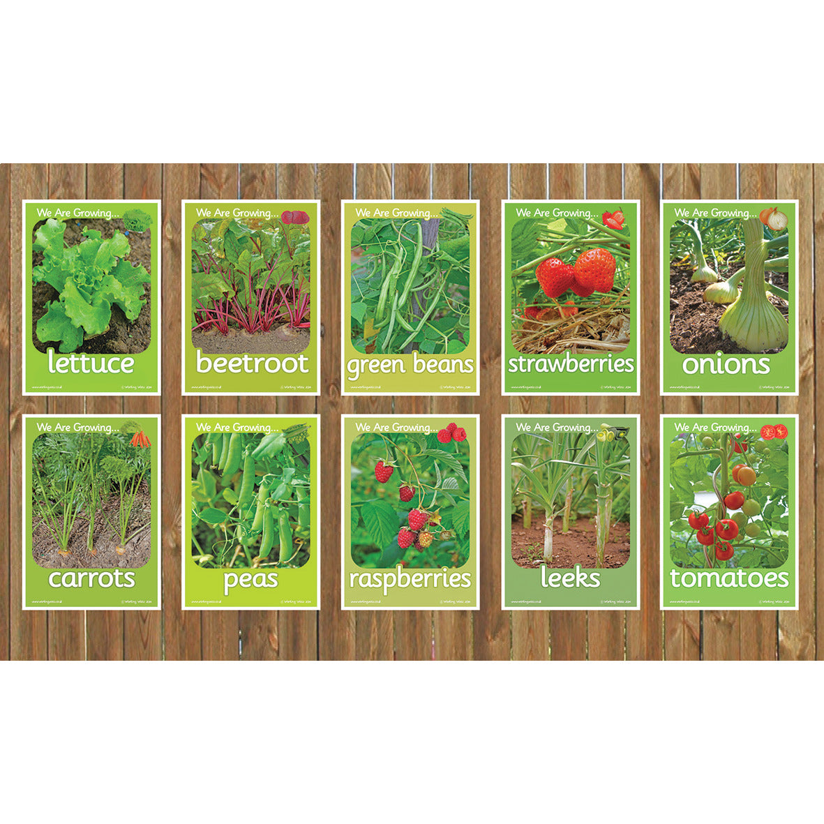 We Are Growing Outdoor Boards