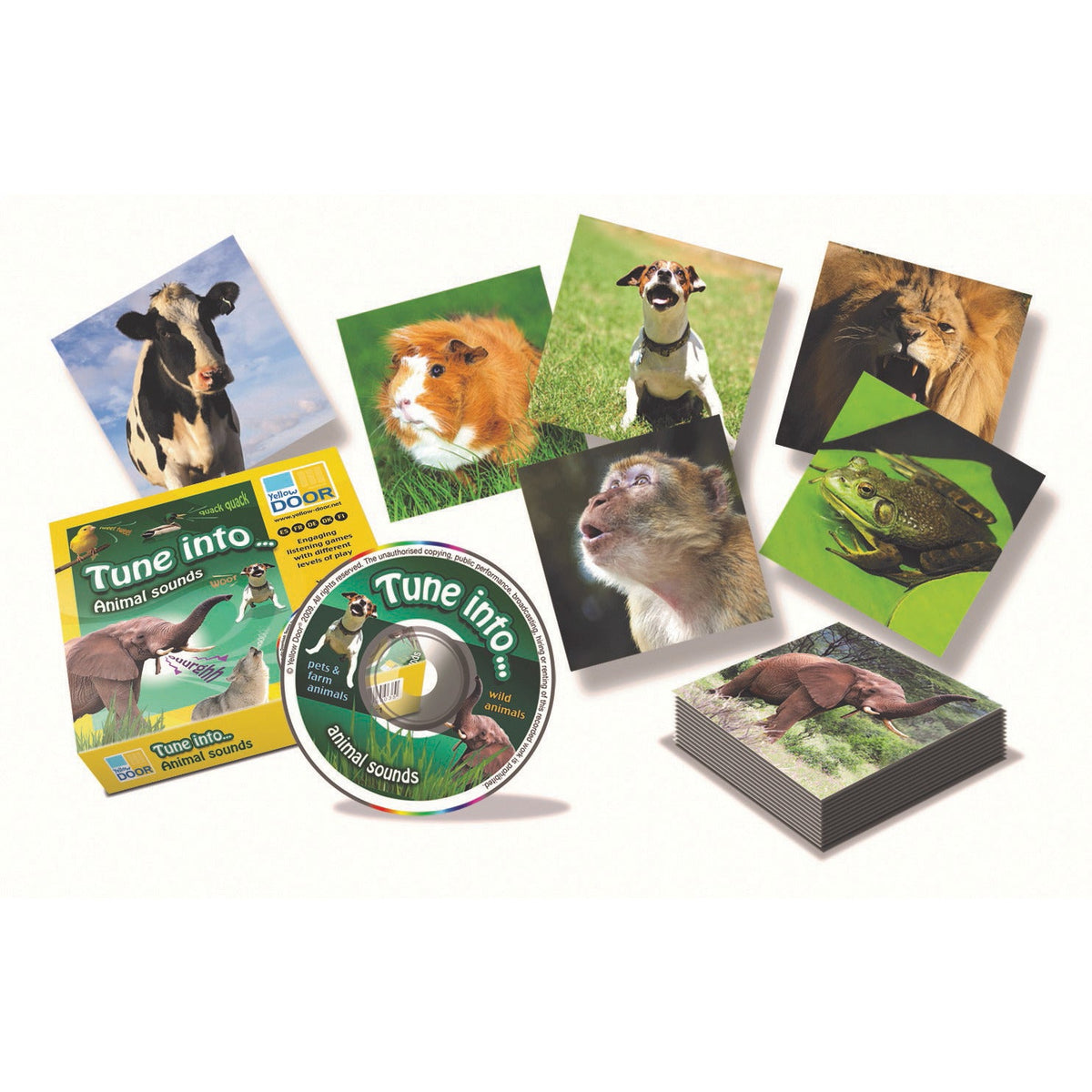 Tune Into Animal Sounds