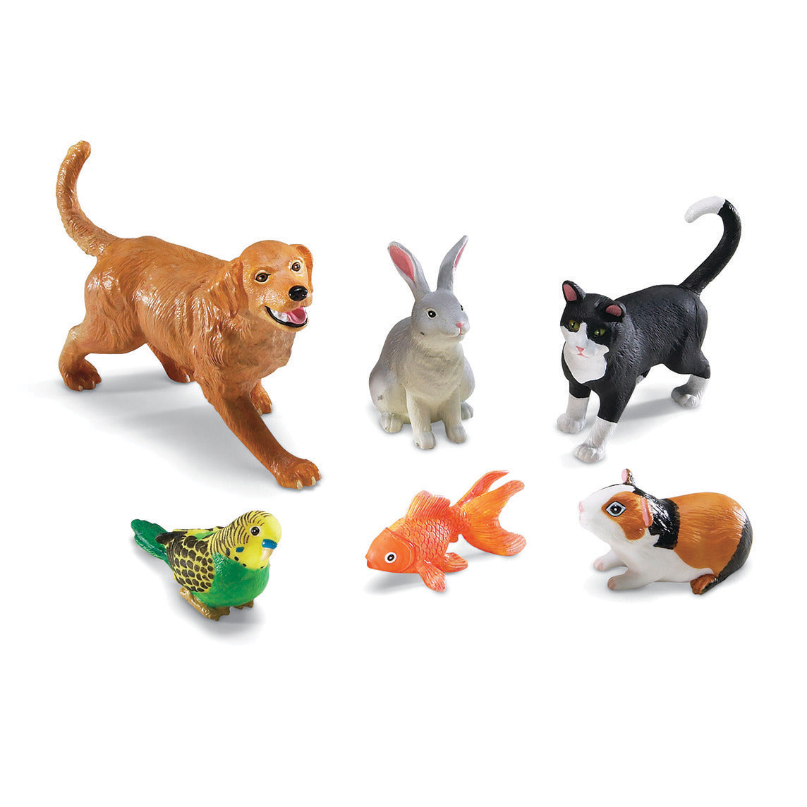 Jumbo Pets