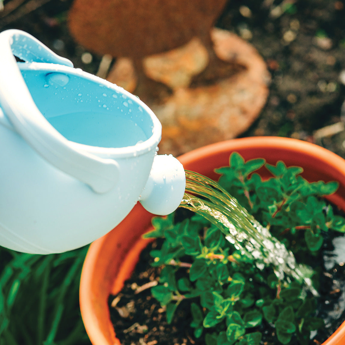 Childrens Watering Can Pk6