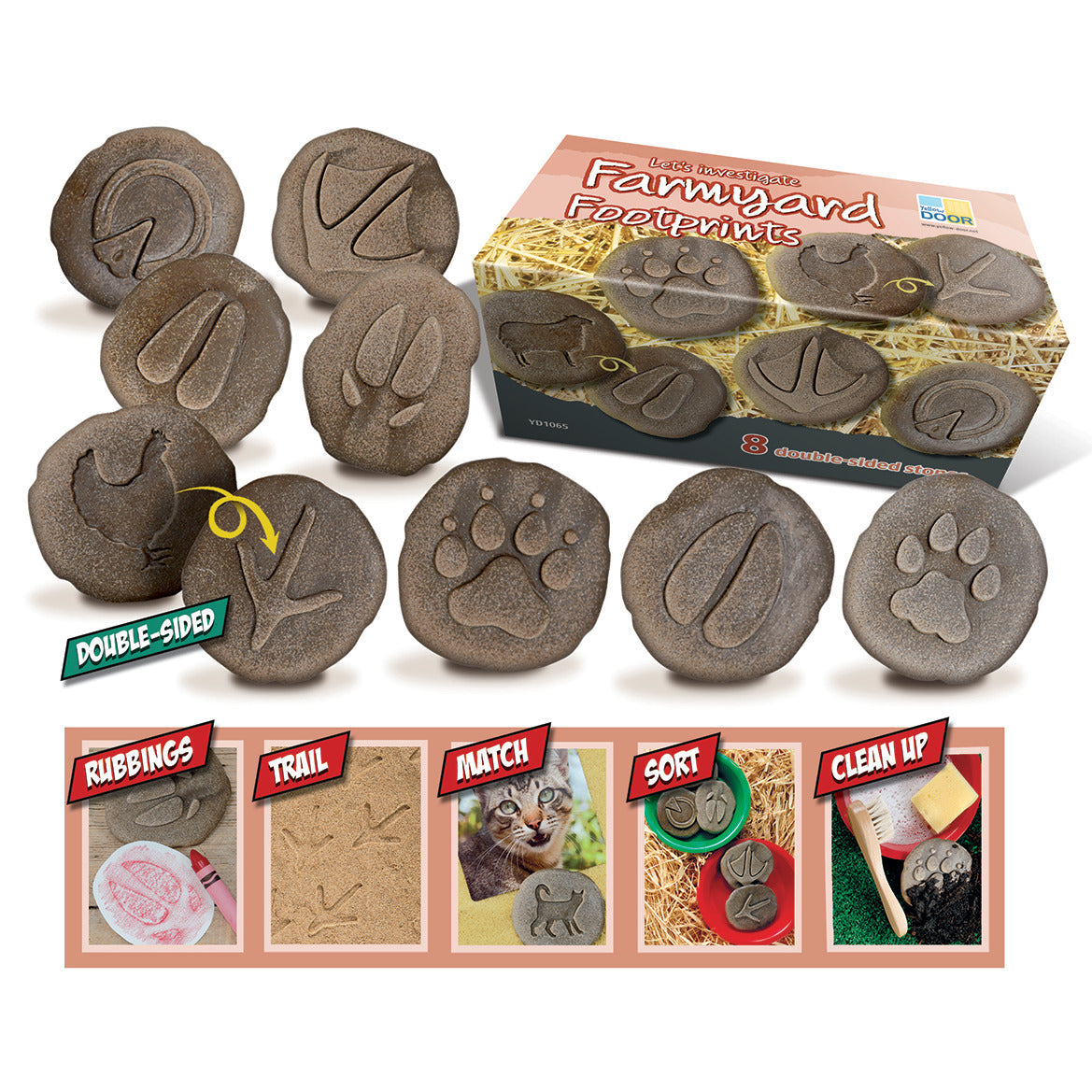 Let-'S Investigate - Farmyard Animal