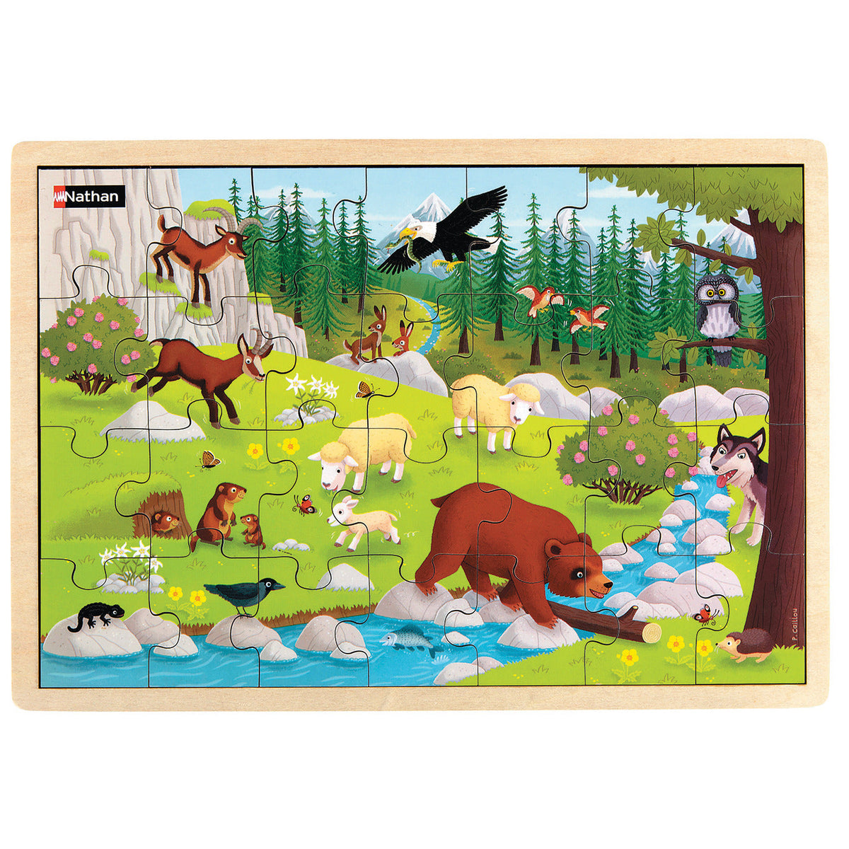 Animals Of The World