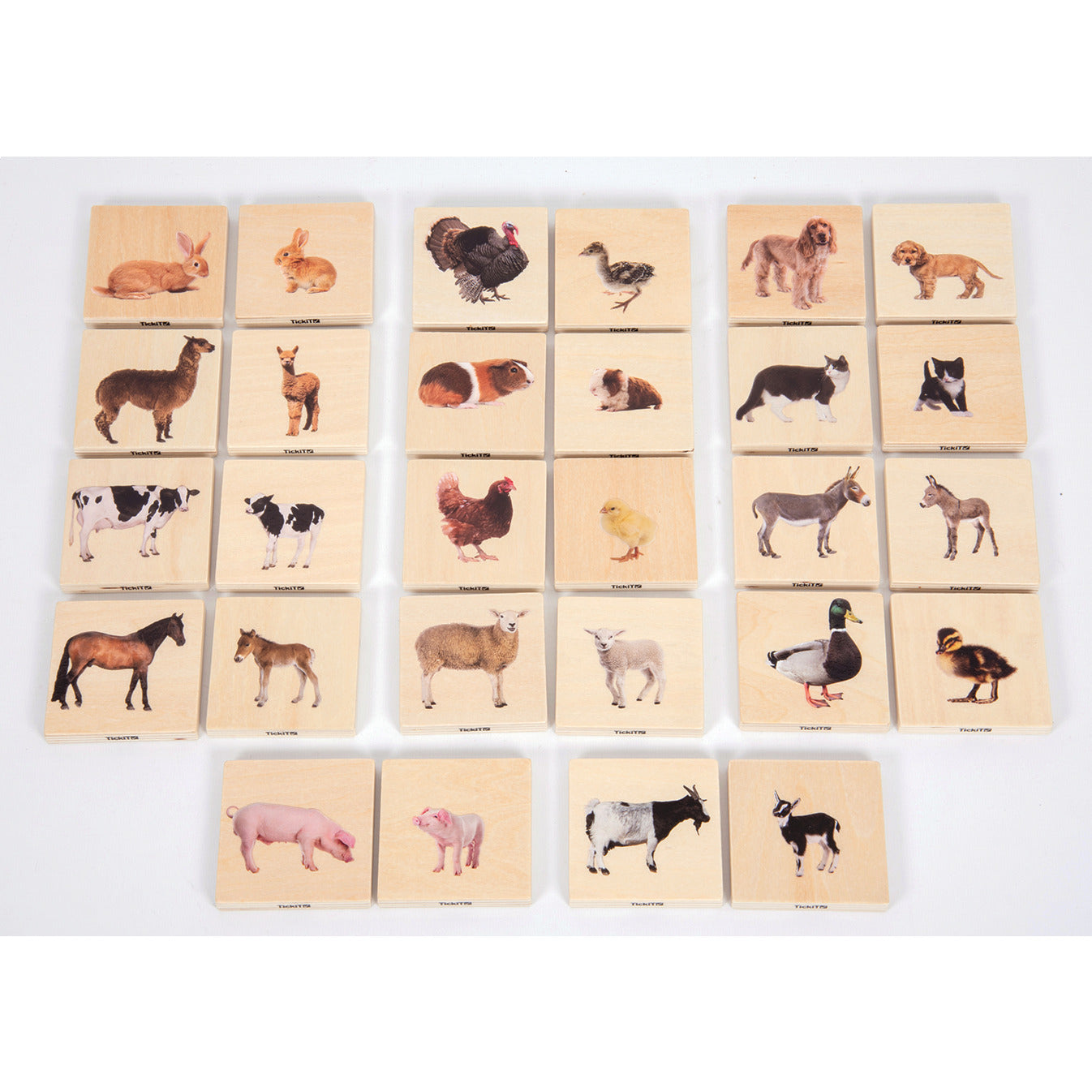Domestic Animal Family Match