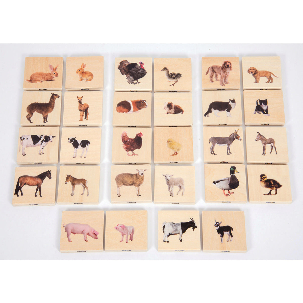 Domestic Animal Family Match