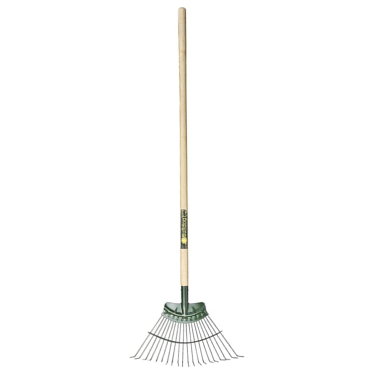Rake Lawn Springbok