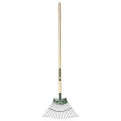 Rake Lawn Springbok