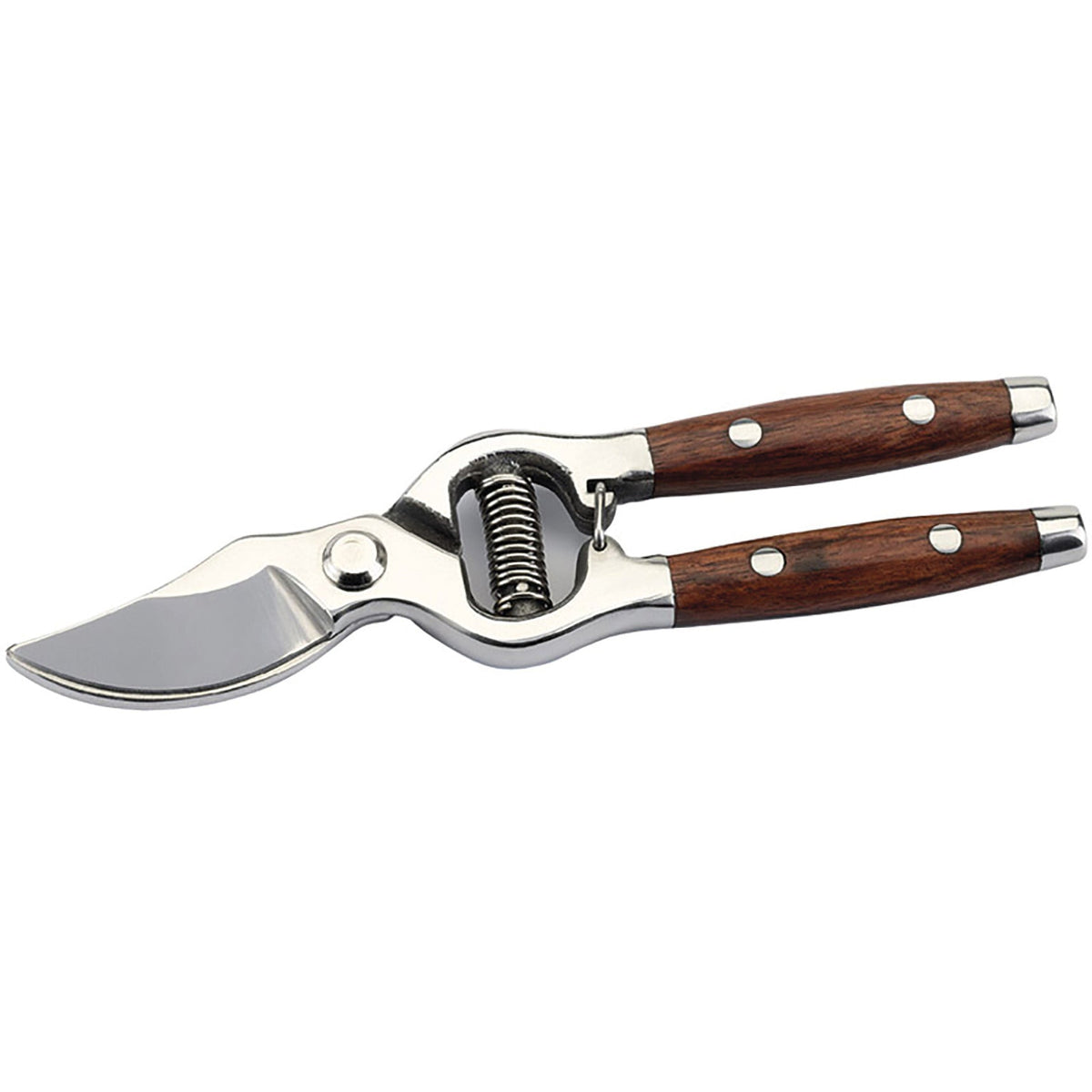 Secateurs