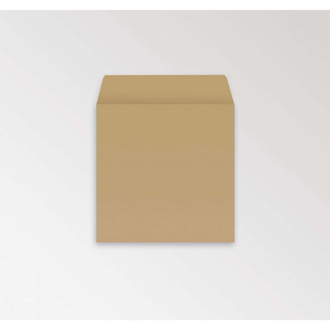 Env Gum Pl Man 108X102 Poc Recy Bx1K