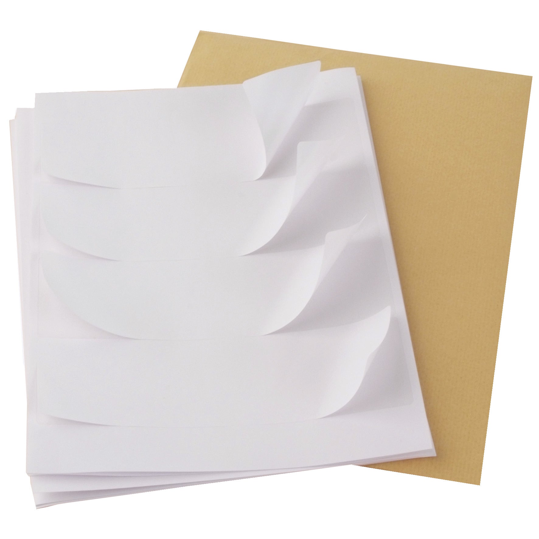Label L-Arch Spine 25 Sheets Of 4-Pk