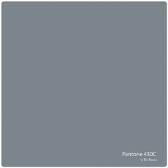 Pantone Pin Panelz 1200X1200Mm 430C