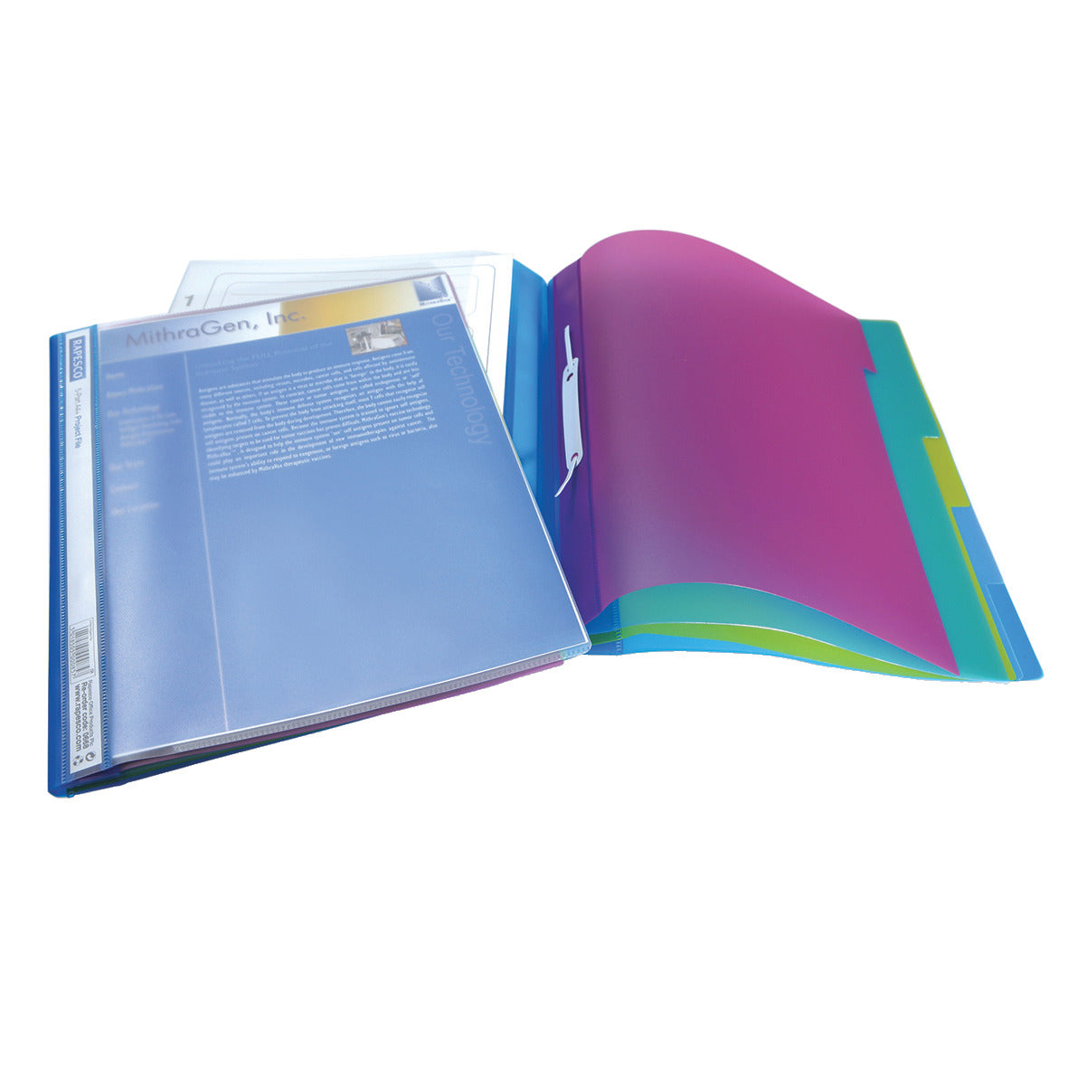Project File Tabbed A4+ 5 Part Pk5