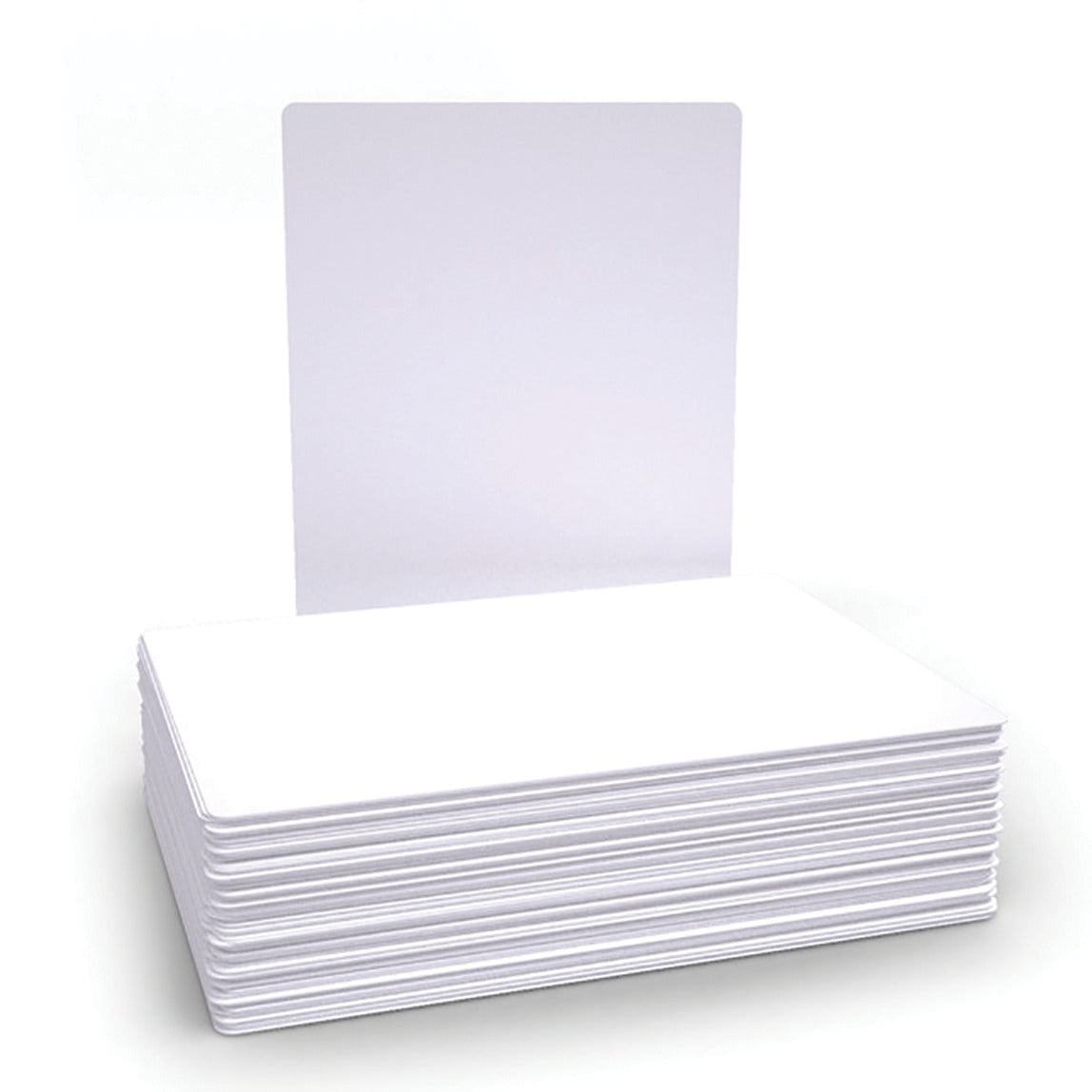 Ecnmy Drywpe Brds Plain Pk100