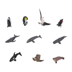 Antarctica Wildlife Sorting Cards EN