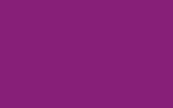 Funbo Chart 50x70 220g R-S Packet of 20 violet FO-CPRS050X070-VT