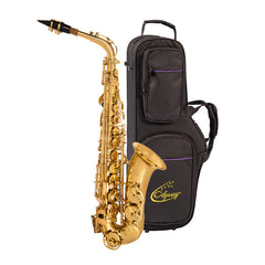 Odyssey OAS130 Debut alto saxophone outfit