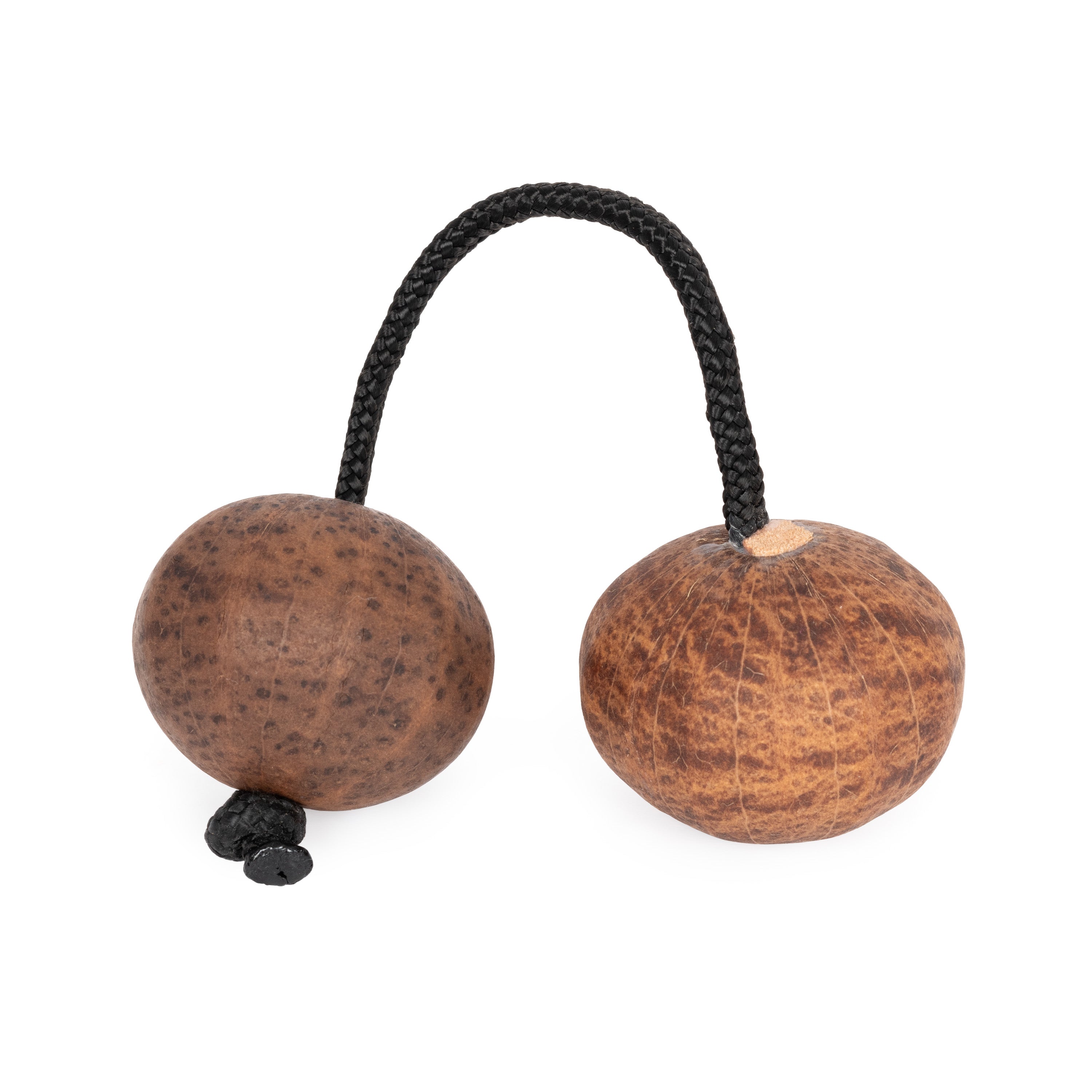 Percussion Plus Honestly Made Asalatau