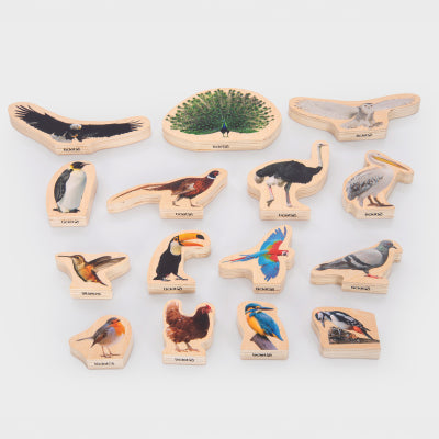 WOODEN BIRD BLOCKS, PK15