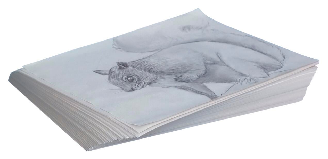 PAPER NEWSPRINT 12X18 WHITE REAM