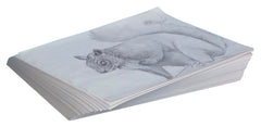 PAPER NEWSPRINT 9X12 WHITE REAM