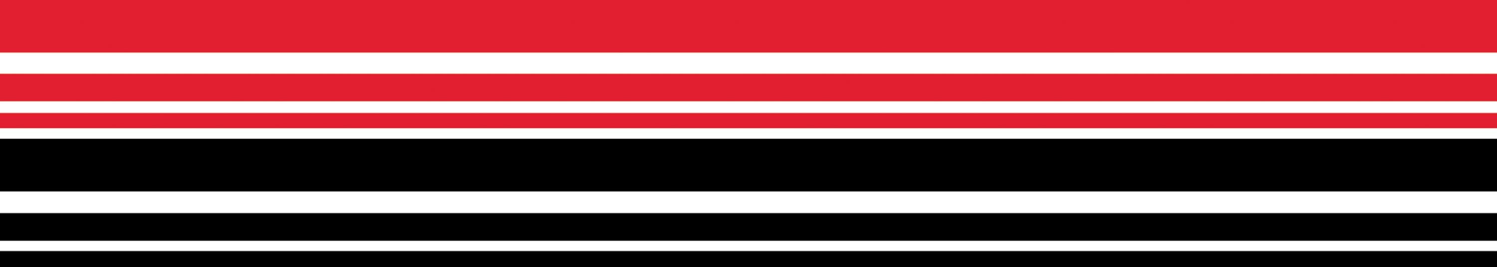 WIDE STRIPES DOUBLE SIDED BORDER SET