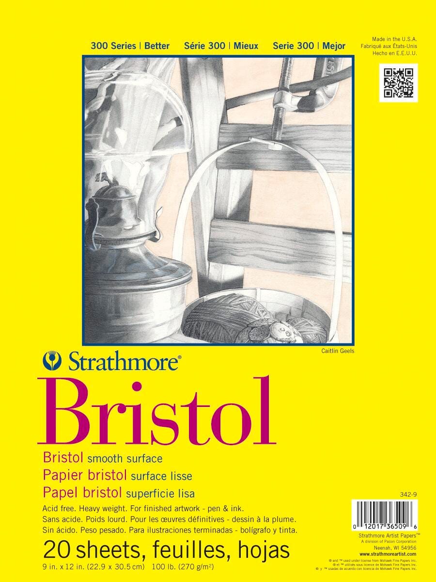 PAD BRISTOL 300 SERIES 9X12 IN 100 LB SMOOTH 20 SHTS